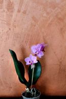 Kreativ - Ralf Becker GmbH 5